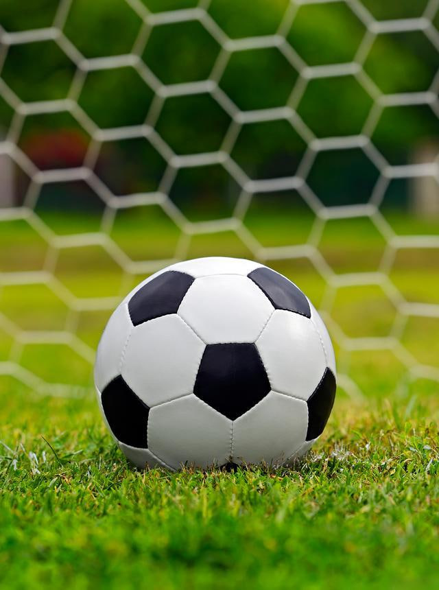 体育研究人员使用竞彩网数据库